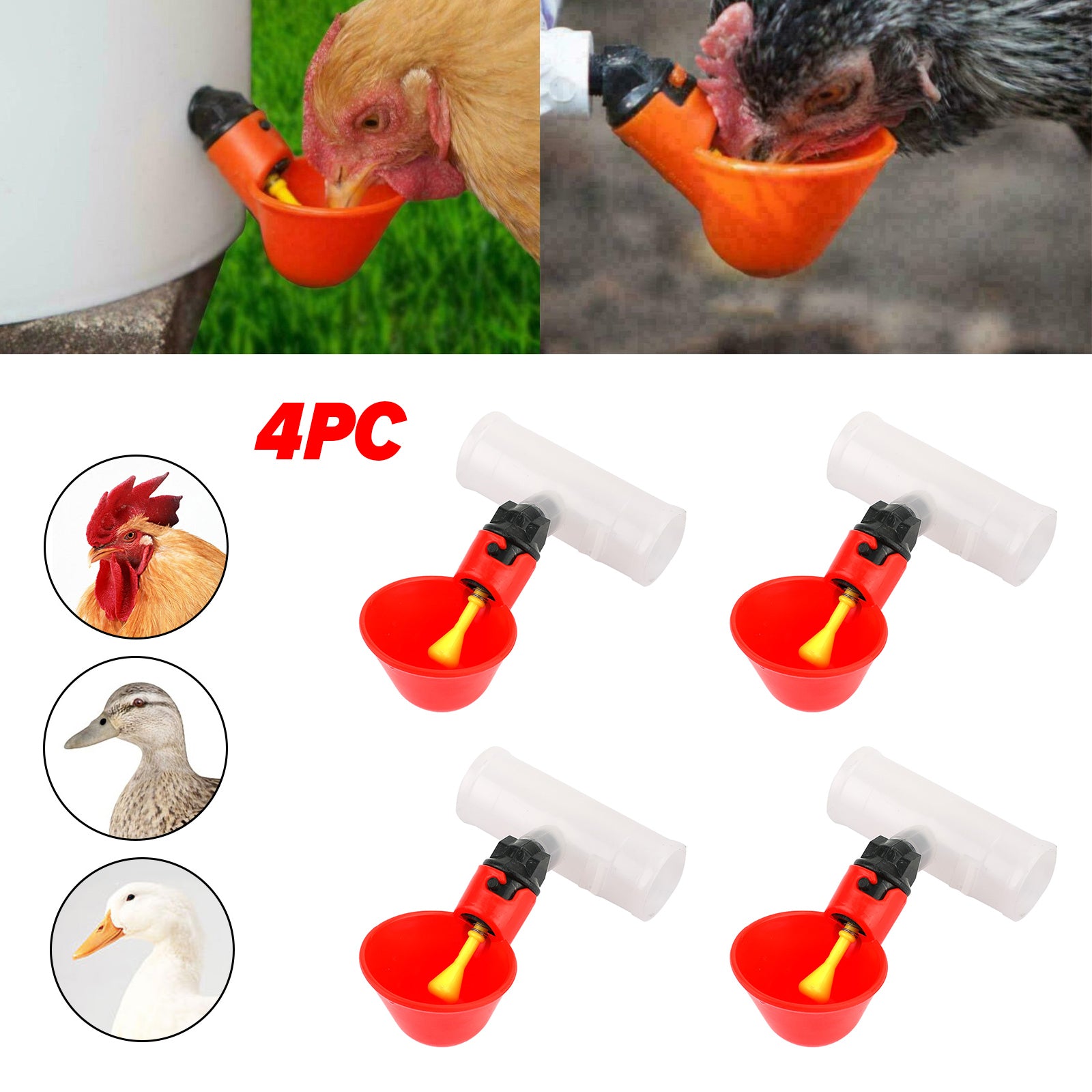 4PCS Water Drinking Cups Chicken Waterer Automatic Poultry Drinkers