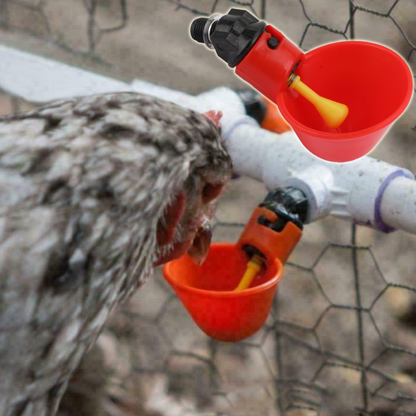 4PCS Water Drinking Cups Chicken Waterer Automatic Poultry Drinkers
