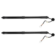 2017-2019 Nissan Rogue SL SV Hybrid Sport Utility 4-Door 2.0L Electric Tailgate Struts 905614BA4A Fedex Express