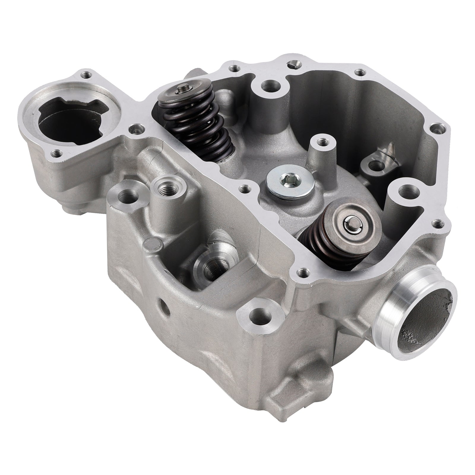 2016-2024 Honda Rancher 420 TRX420TE1 ES Cylinder Head Valves Kit 12200-HP7-A01 14781-MBB-003
