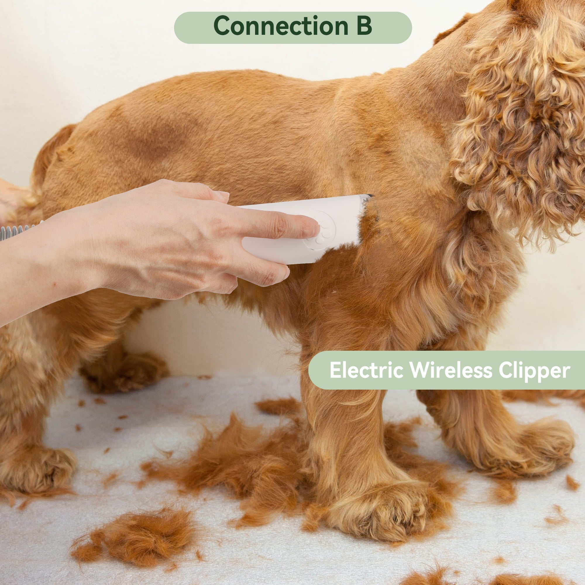 Dog Vacuum Brush for Shedding Grooming 5 In 1 Pet Grooming Kit Vacuum Suction Professional Pet Hair Clipper 1.5L Grooming Tools for Dogs Cats Pets