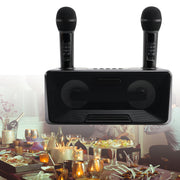 Wireless Bluetooth Speaker Dual Microphone Karaoke All-In-One Outdoor Portable