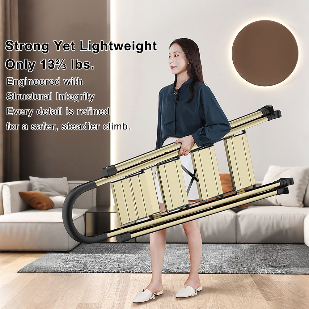4 Step Ladder
