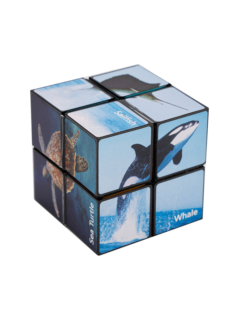 2 In 1 Ocean Style Star Cube Magic Cube Set For Kid And Adult Toy Ages 8-12
