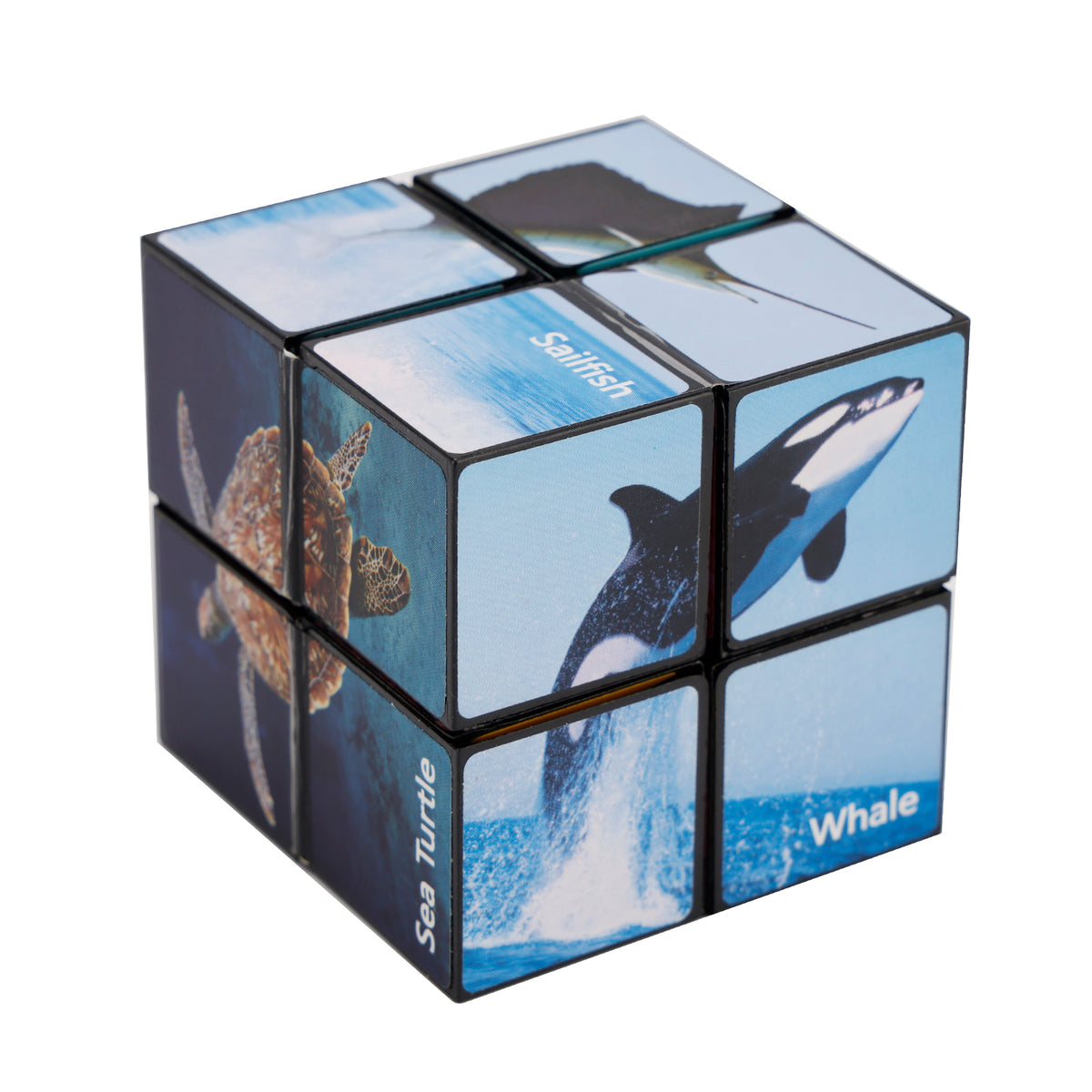 2 In 1 Ocean Style Star Cube Magic Cube Set For Kid And Adult Toy Ages 8-12