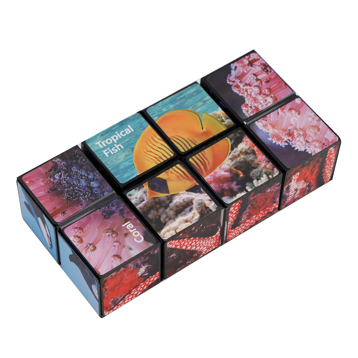 2 In 1 Ocean Style Star Cube Magic Cube Set For Kid And Adult Toy Ages 8-12