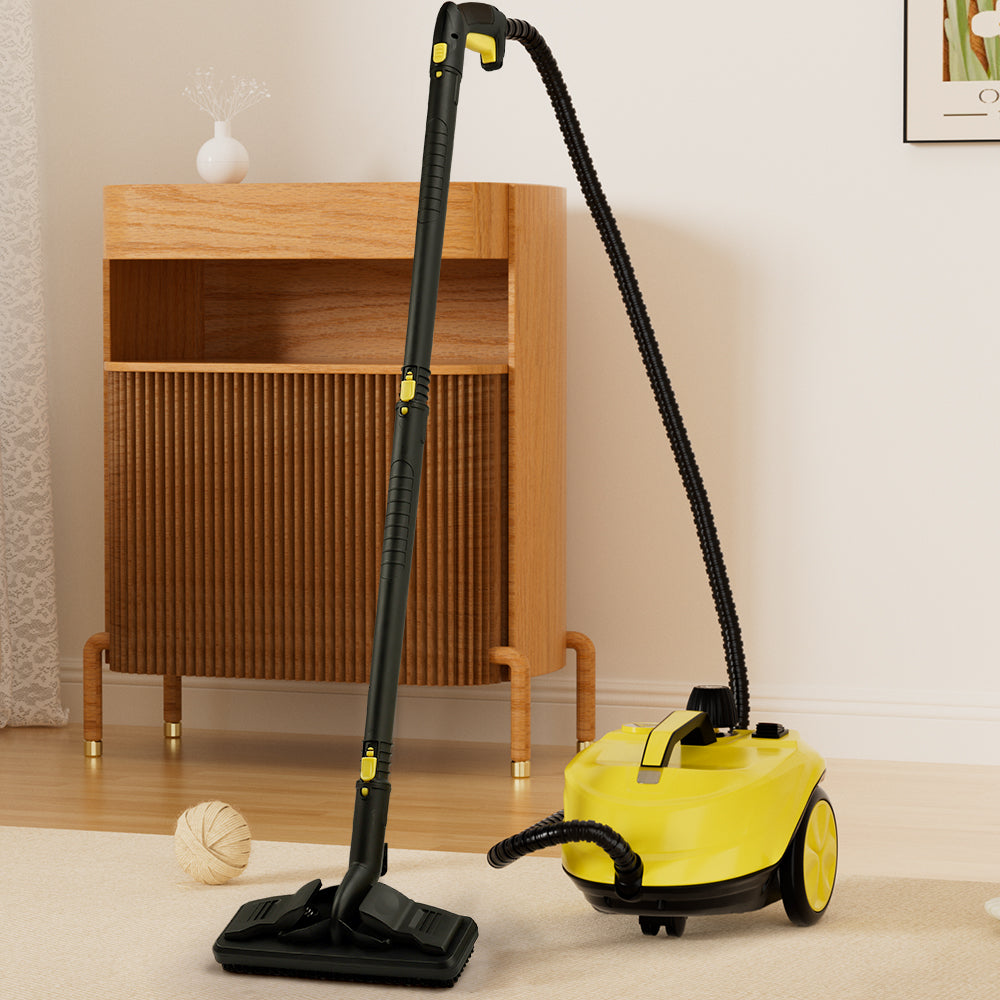 2000W High Pressure Steam Cleaner Household Car Steam Cleaner Cleaning Machine