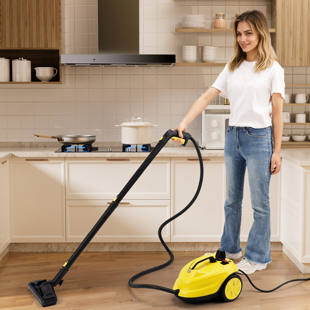 2000W High Pressure Steam Cleaner Household Car Steam Cleaner Cleaning Machine
