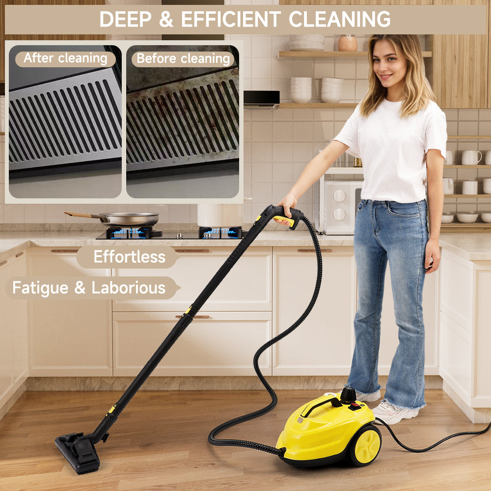 2000W High Pressure Steam Cleaner Household Car Steam Cleaner Cleaning Machine