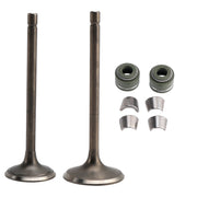 Intake Exhaust Valve Kit For LIFAN ZONGSHEN CG250 250cc Go Kart Dirt Bike ATV