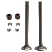 69mm Intake Exhaust Valve Kit For GY6 139QMB Moped 50cc 80cc Sunl Baja Taotao