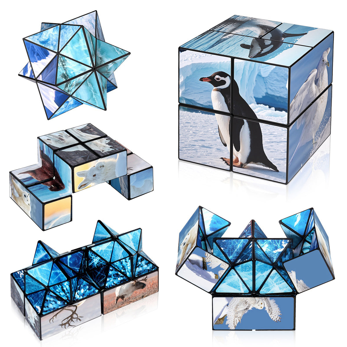 2 In 1 North South Poles Style Star Magic Cube For Kid And Adult Toy Ages 8-12