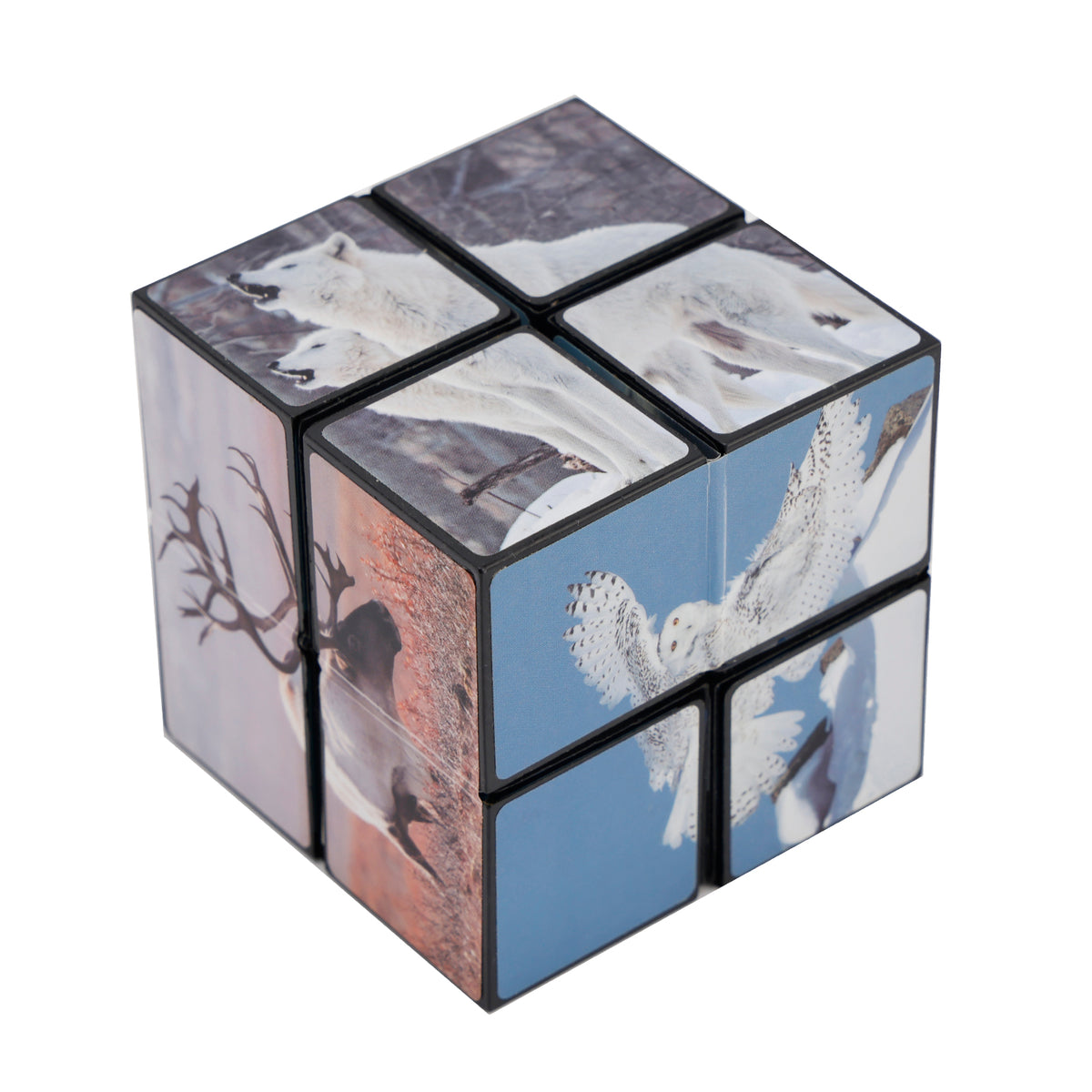 2 In 1 North South Poles Style Star Magic Cube For Kid And Adult Toy Ages 8-12