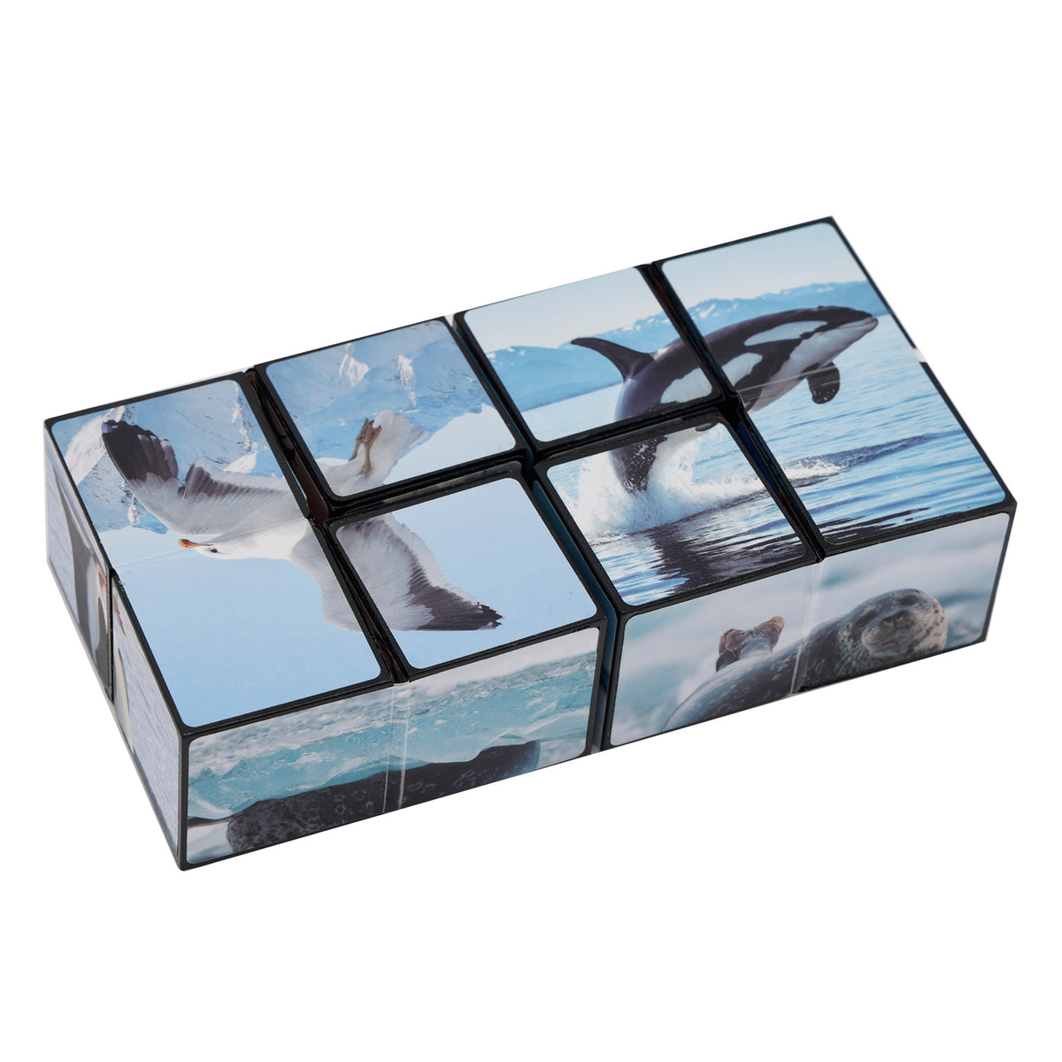 2 In 1 North South Poles Style Star Magic Cube For Kid And Adult Toy Ages 8-12