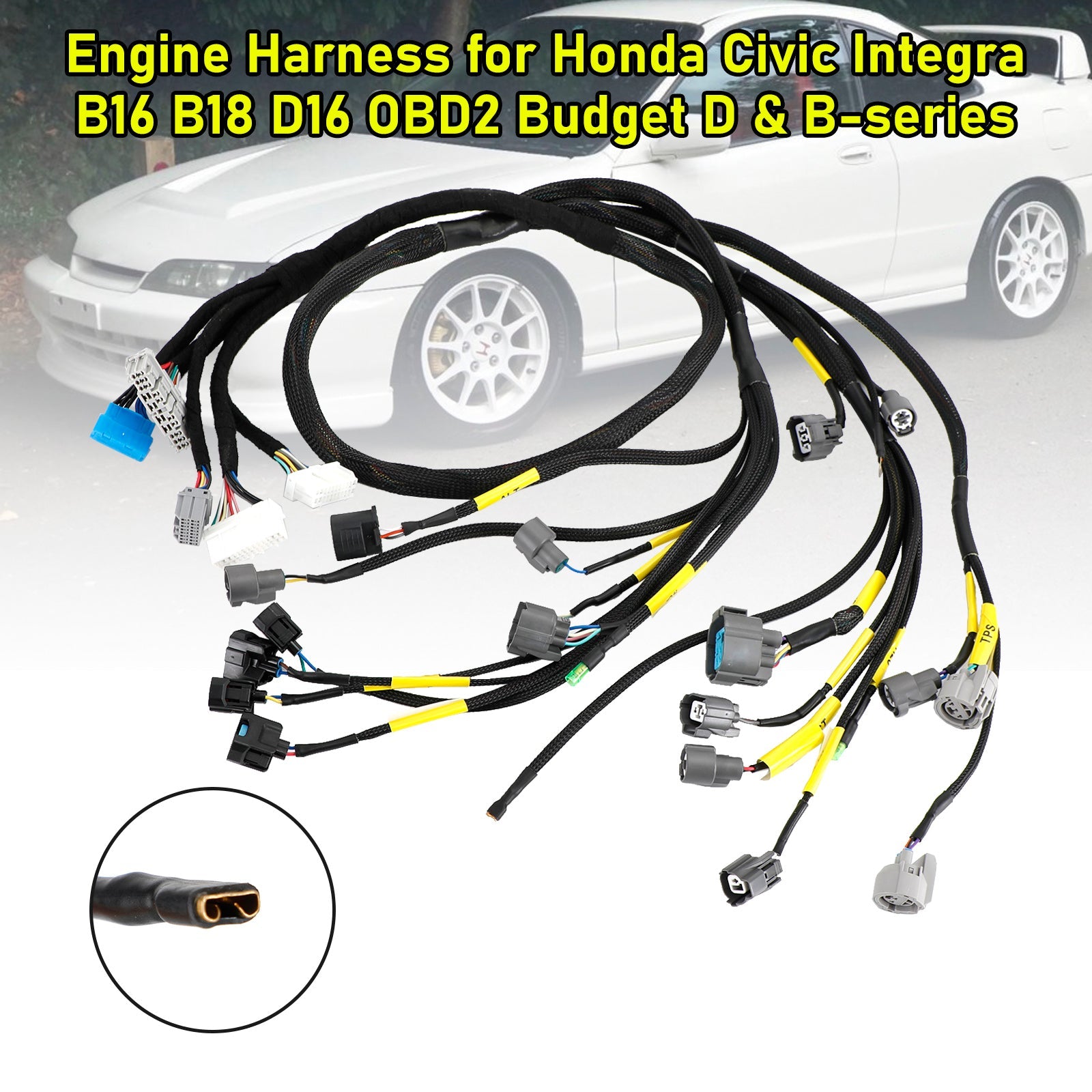 Engine Harness for Honda Civic Integra B16 B18 D16 OBD2 Budget D & B-series