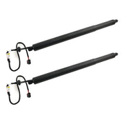 2015-2019 Land Rover Discovery Sport 2PCS Electric Tailgate Strut LR075420 R058635 LR074798 LR075419