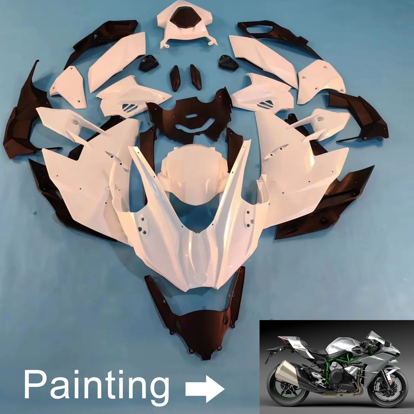 2015-2025 Kawasaki Ninja H2 Injection Fairing Kit Bodywork ABS #101