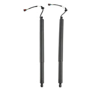 2020-2022 Hyundai Palisade 2PCS Power Liftgates Lift Support 81831-S8100
