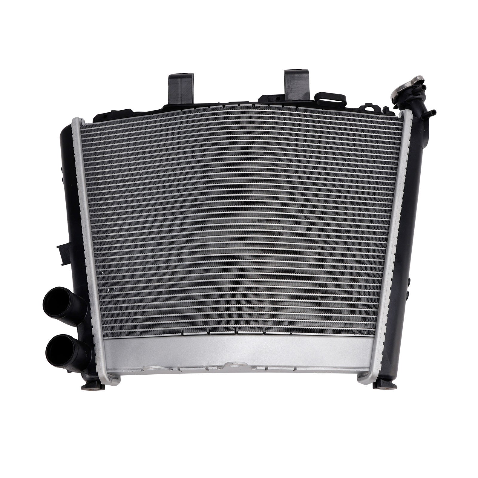 2023-2025 BMW M1000R Radiator Cooling Engine Cooler