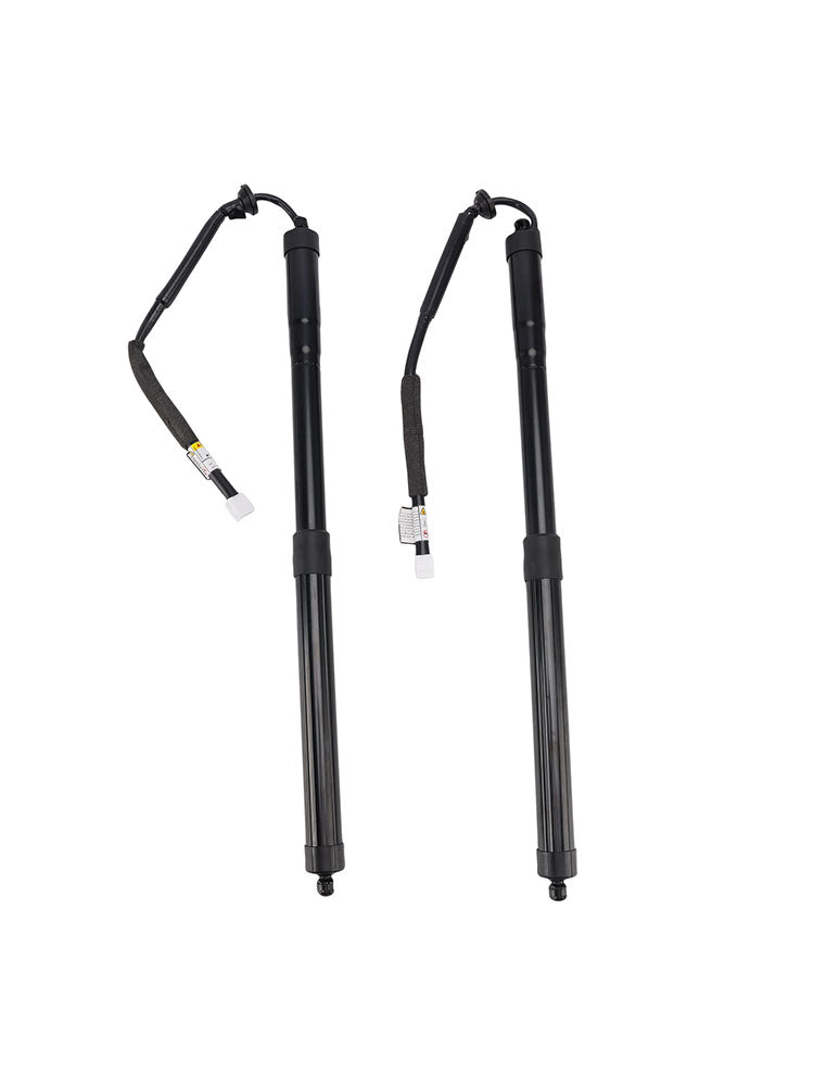2018-2021 For Lexus NX 200t Premium Left + Right Tailgate Gas Struts 6892079018