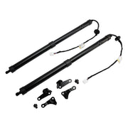 2015-2017 Lexus NX 300h Base 2PCS Rear Electric Tailgate Struts 6892079016 6891079016