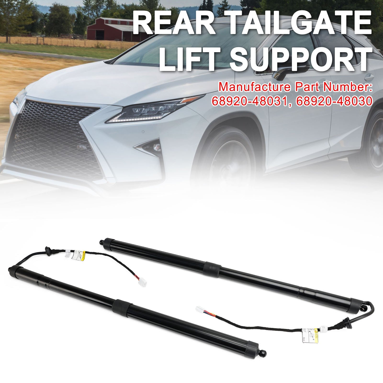 2018-2019 Lexus RX 450h BASE (VIN starts with JTJB) 2PCS Rear Tailgate Support Struts 6892048031 6891048071