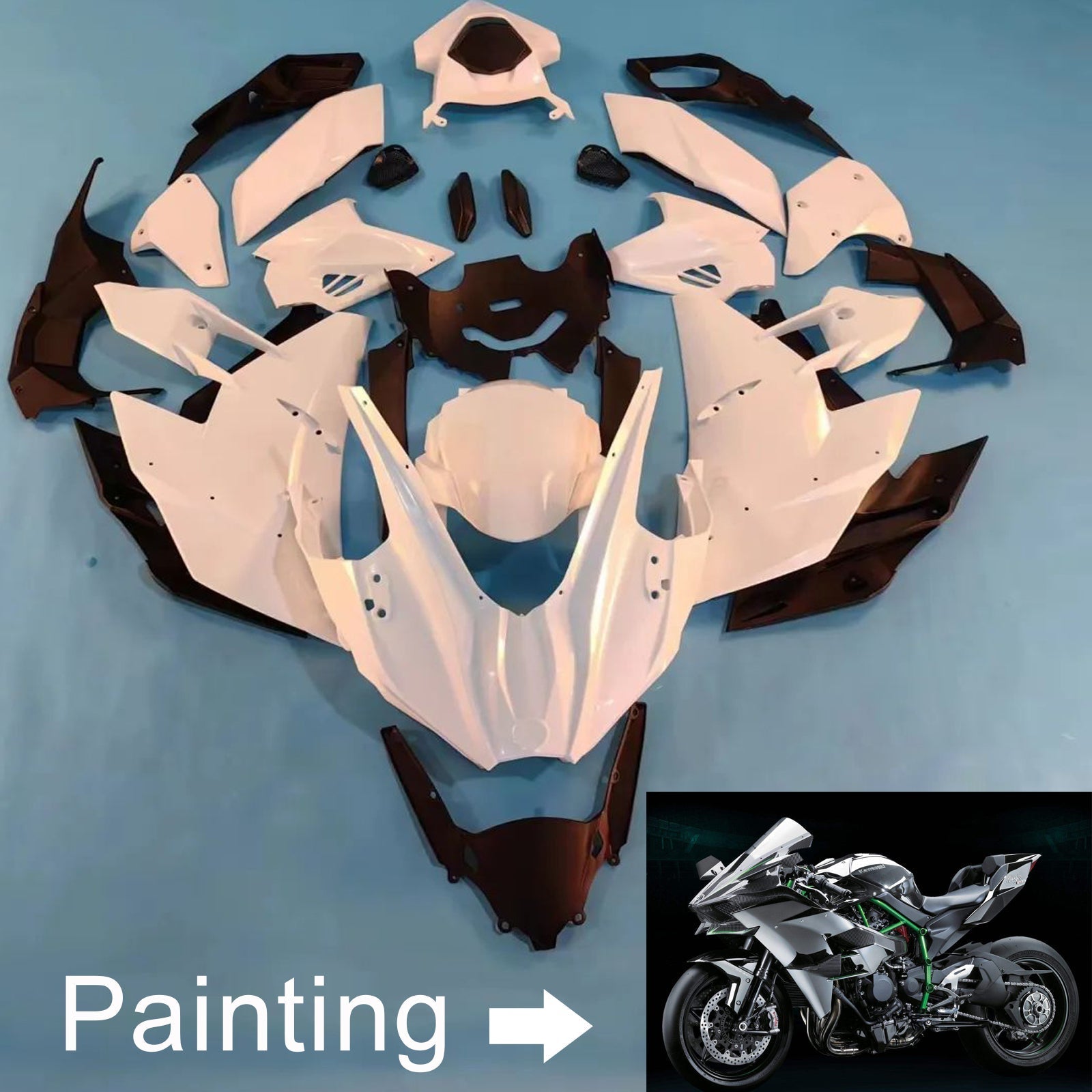 2015-2025 Kawasaki Ninja H2 Injection Fairing Kit Bodywork ABS #101