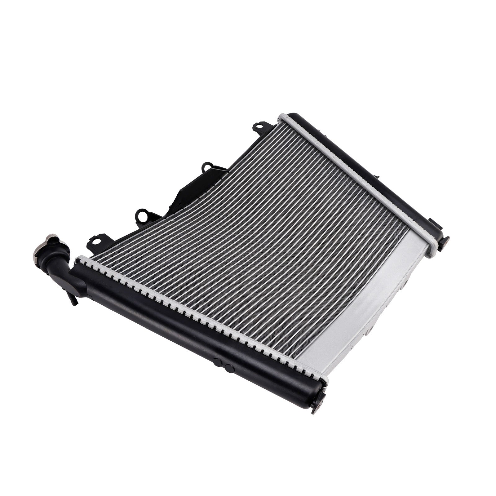 2021-2025 BMW S1000R Radiator Cooling Engine Cooler