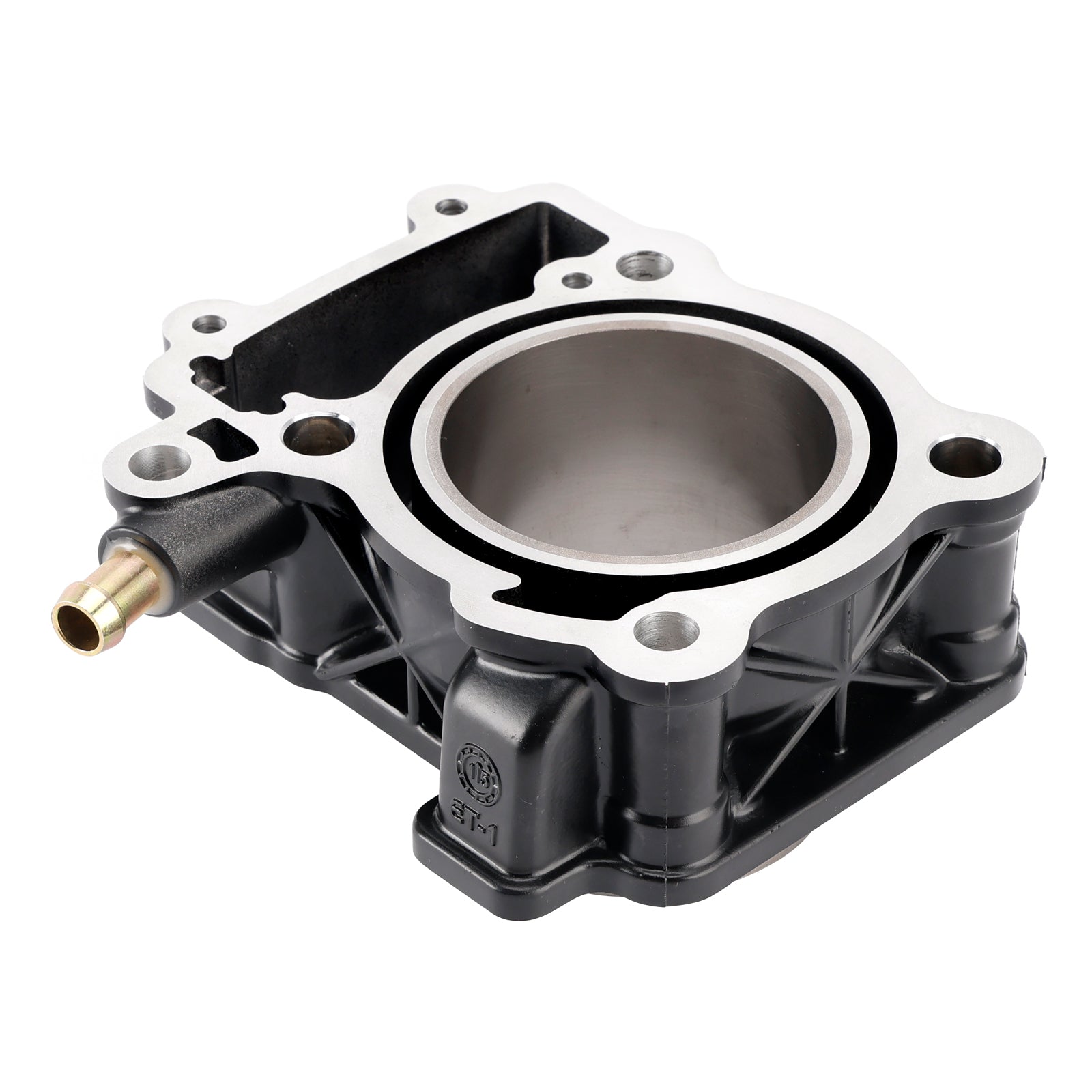2015-2016 Bajaj Pulsar AS 200 250cc Cylinder Piston Kit 36JL0007 JL521002 JL511022