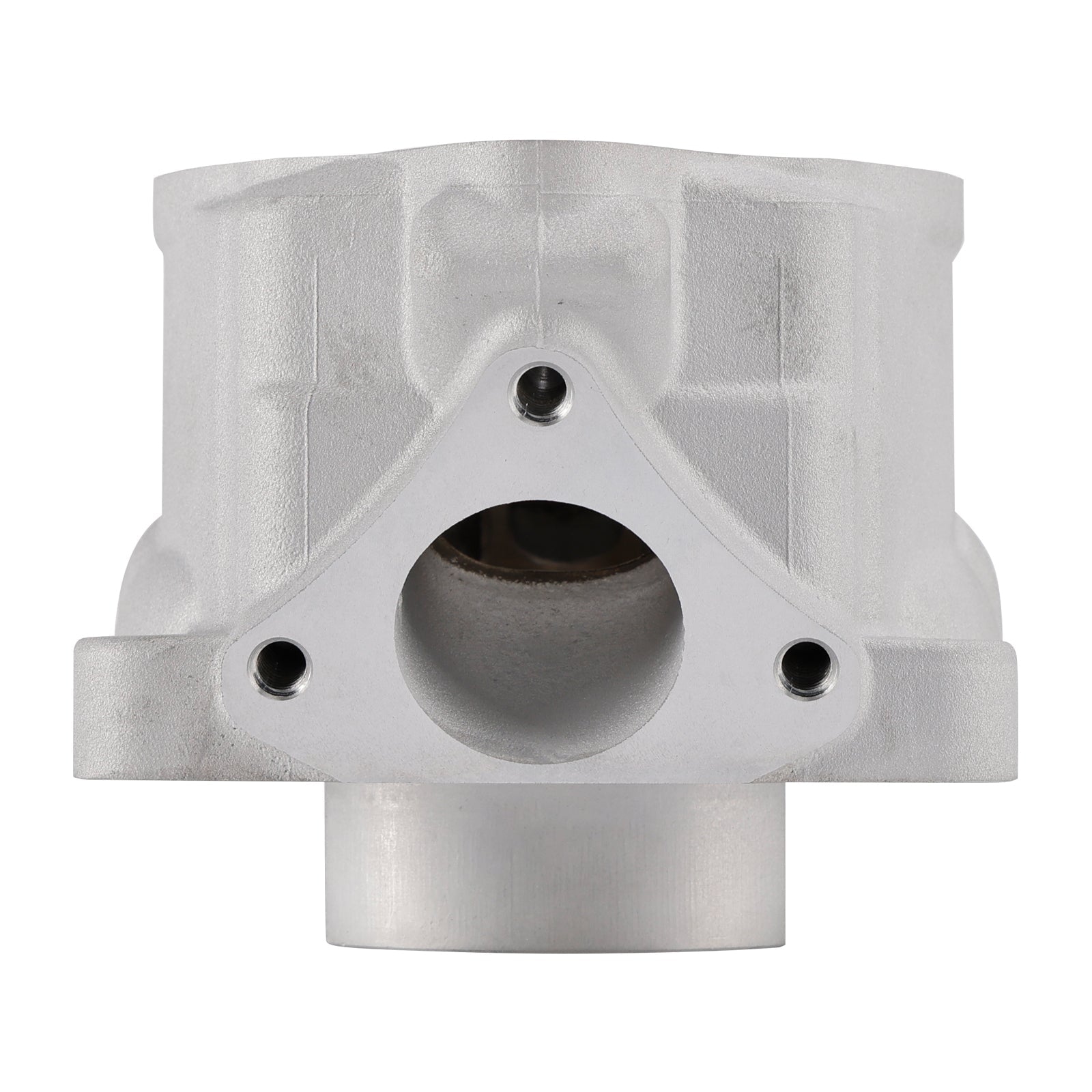 2021-2023 Gas Gas MC 50 Mini NEW CYLINDER JUG 45230038000