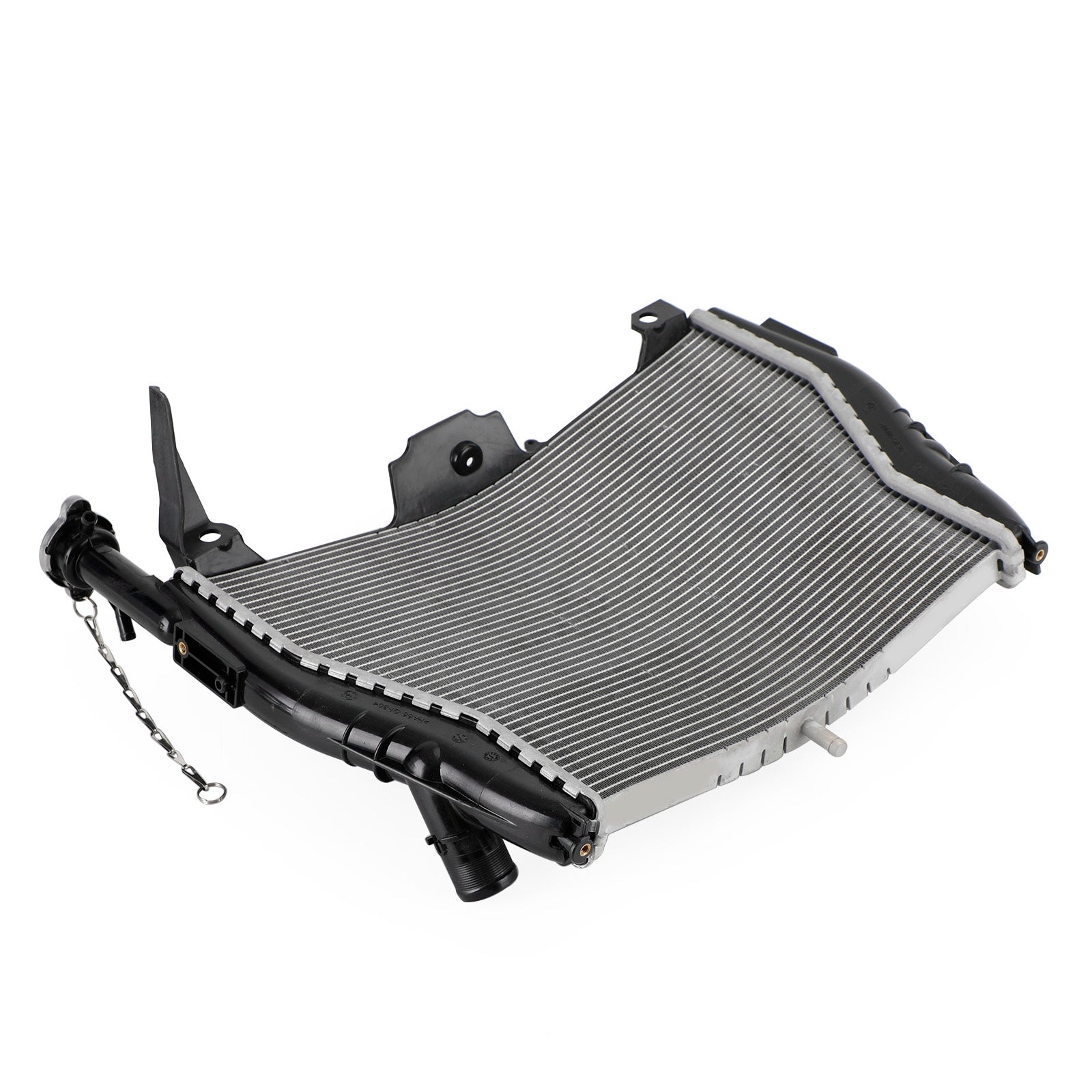 2009-2019 BMW S1000RR Engine Radiator Cooler Cooling