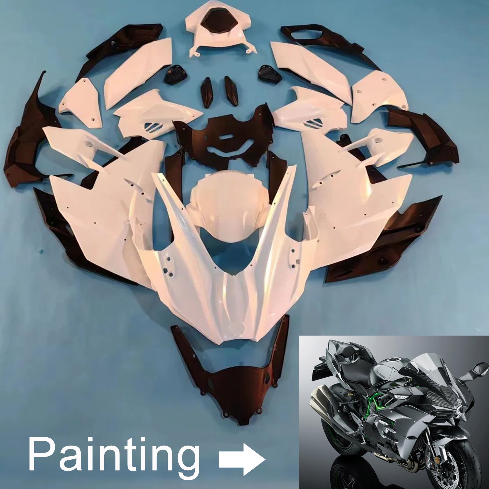 2015-2025 Kawasaki Ninja H2 Injection Fairing Kit Bodywork ABS #101