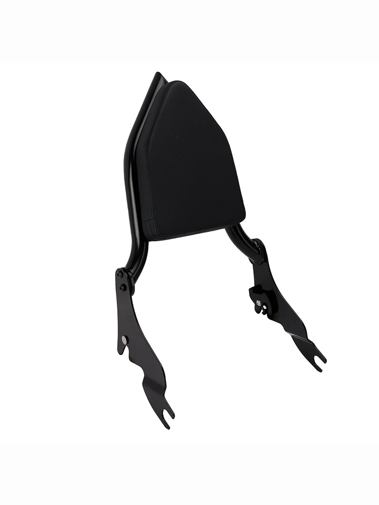 2009-2024 STREET GLIDE FLHX Passenger Sissy Bar Backrest