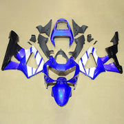 Injection Fairing Kit Bodywork Plastic ABS For Honda CBR929RR 2000-2001