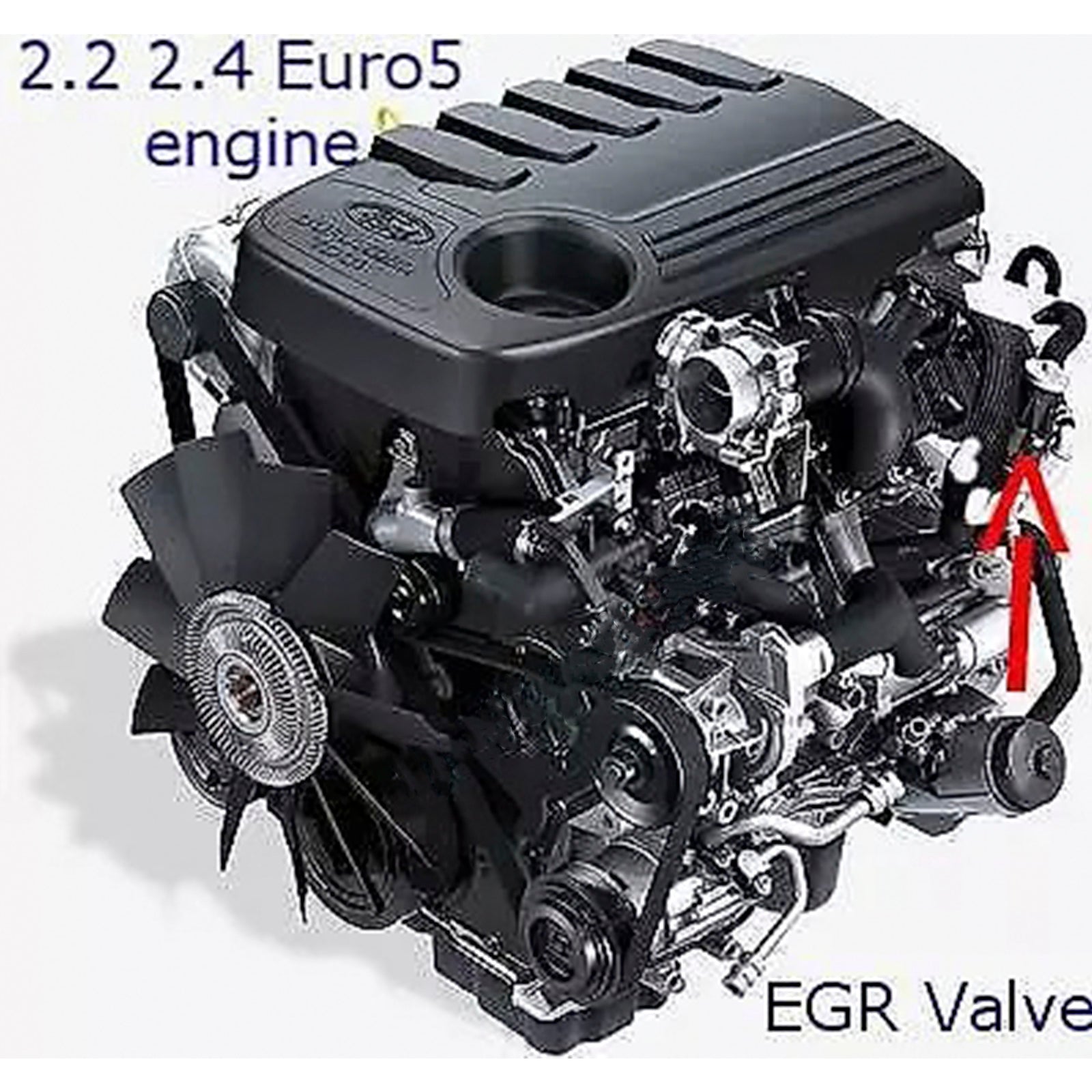2011 on Ford Transit Custom Euro5 & 6 2.2L 2.4 TDCi EGR Valve Block Plate