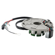 2001-2021 TM Racing MX 250 Ignition Stator 5-Wire