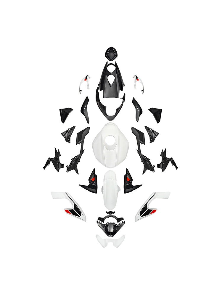Injection Bodywork Fairing Kit for Street Triple 765 R/RS 2023-2025