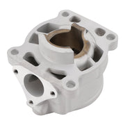 2009-2023 SX 50, SX 50 Mini / Pro JR NEW CYLINDER JUG 45230038000
