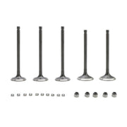 2002-2008 Yamaha YFM660F Grizzly 4x4 Head Intake & Exhaust Valves Seals Kit 5KM-12111-00 3YF-12111-00