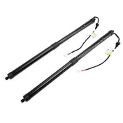 2016-2019 Lexus RX 350 BASE (VIN starts with J) 2PCS Rear Tailgate Support Struts 6892048031 6891048071