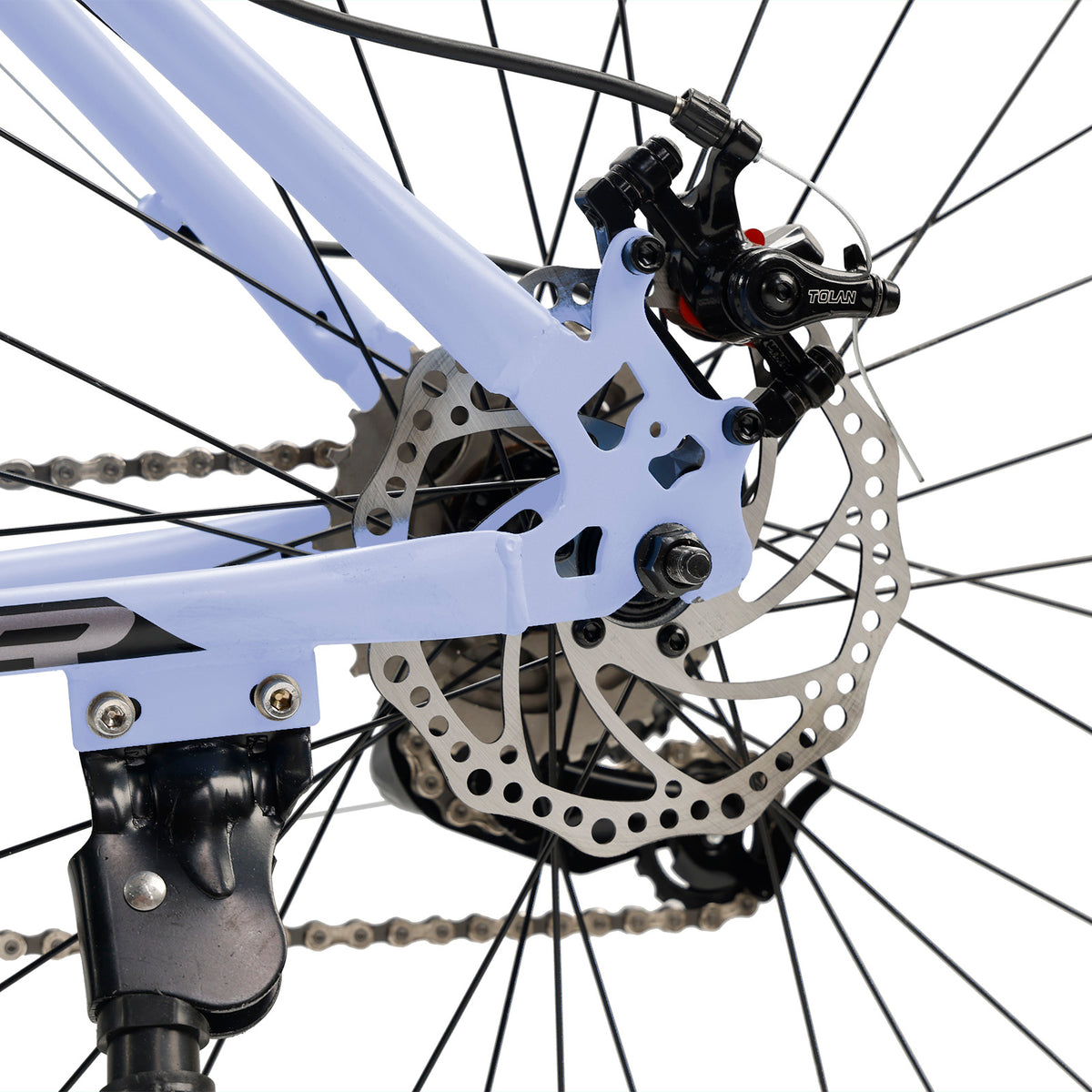 26" wheels 27 speed double disc brake mountain bike MTB for adults Gray