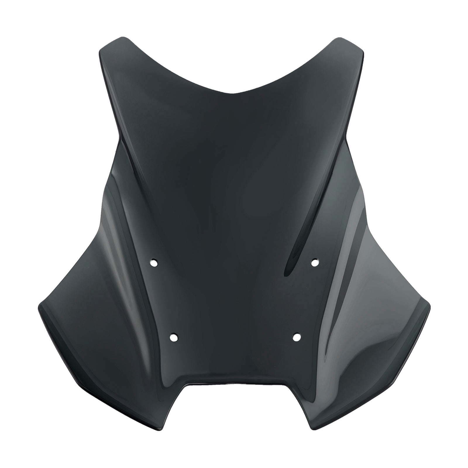 2024 BMW R1300GS Windshield WindScreen