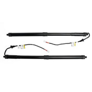 2016-2017 Lexus RX 450h BASE (VIN starts with J) 2PCS Rear Tailgate Support Struts 6892048031 6891048071