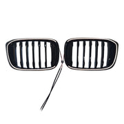 2018-2021 For BMW X4 G02 Pre-Facelift Front Kidney Mesh Grille Grill Gloss Black 51138469960