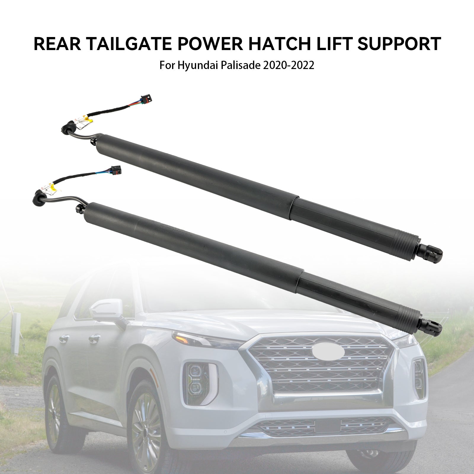 2020-2022 Hyundai Palisade 2PCS Power Liftgates Lift Support 81831-S8100