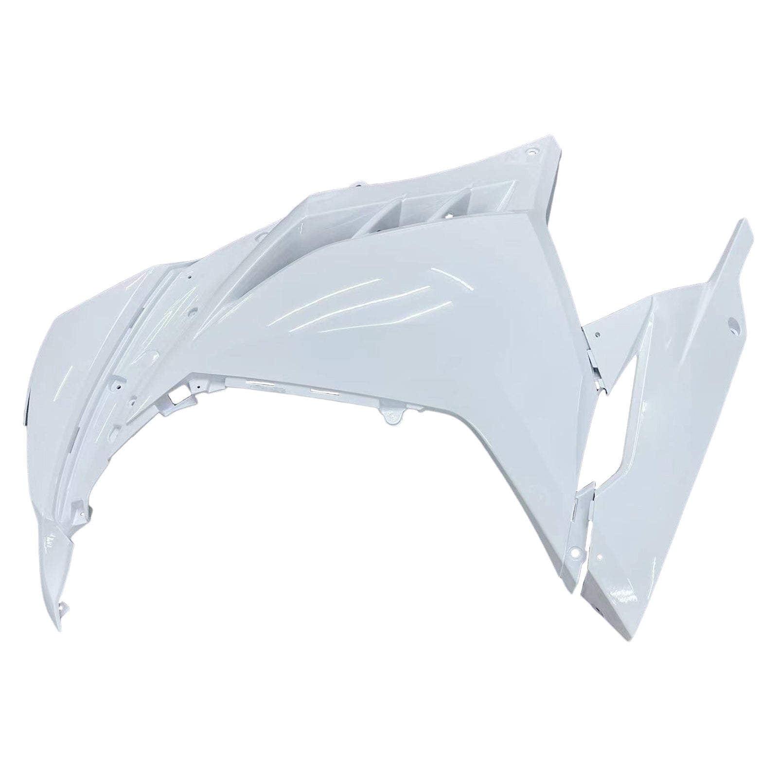 2013-2024 Kawasaki EX300/Ninja300 Injection Fairing Kit Bodywork Plastic ABS