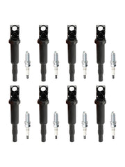 2011-2016 BMW 550xi 4.4L V8 8X Ignition Coil +Spark Plugs UF592 0221504470
