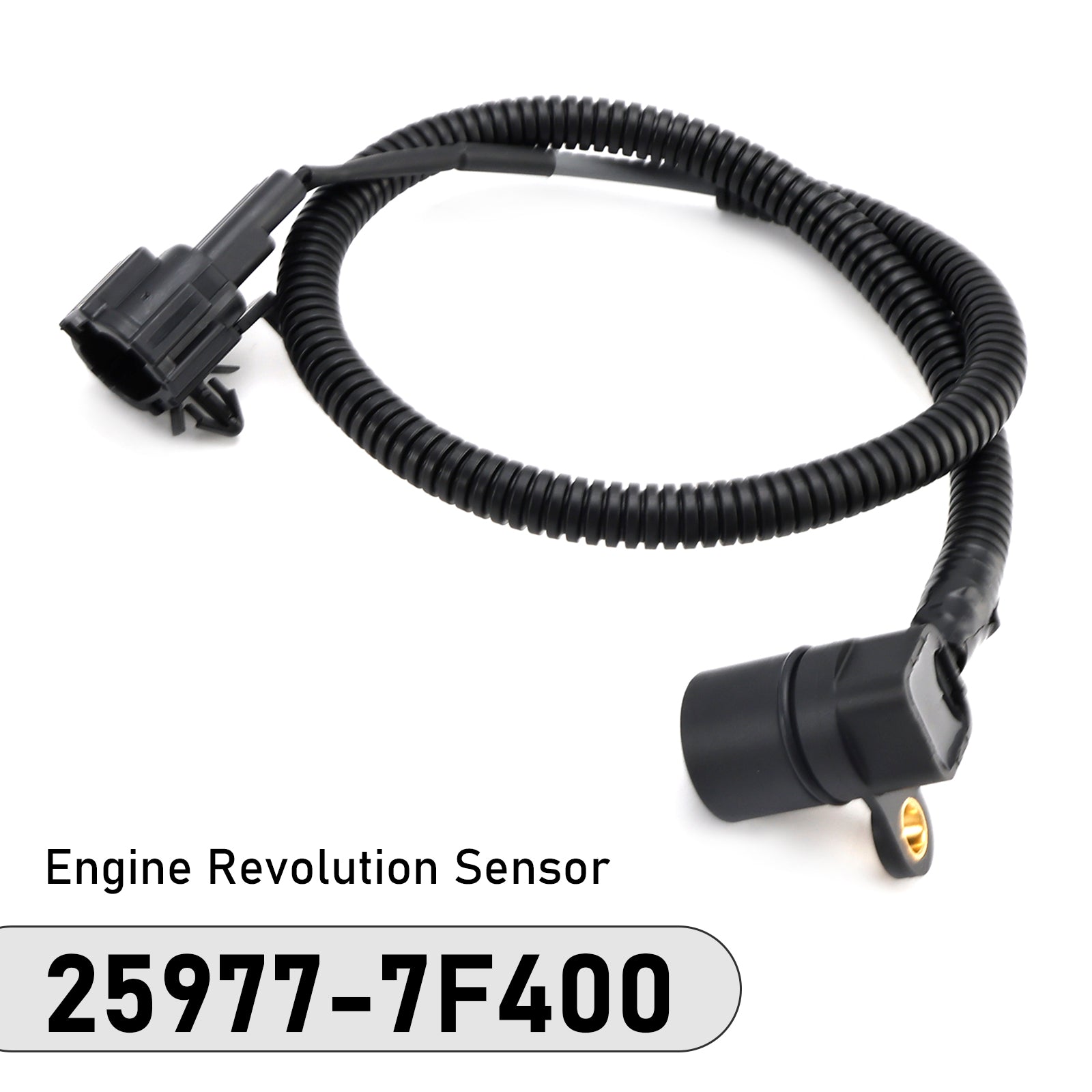 25977-7F400 Engine Revolution Sensor for Nissan Terrano 2.7L TDi 4WD