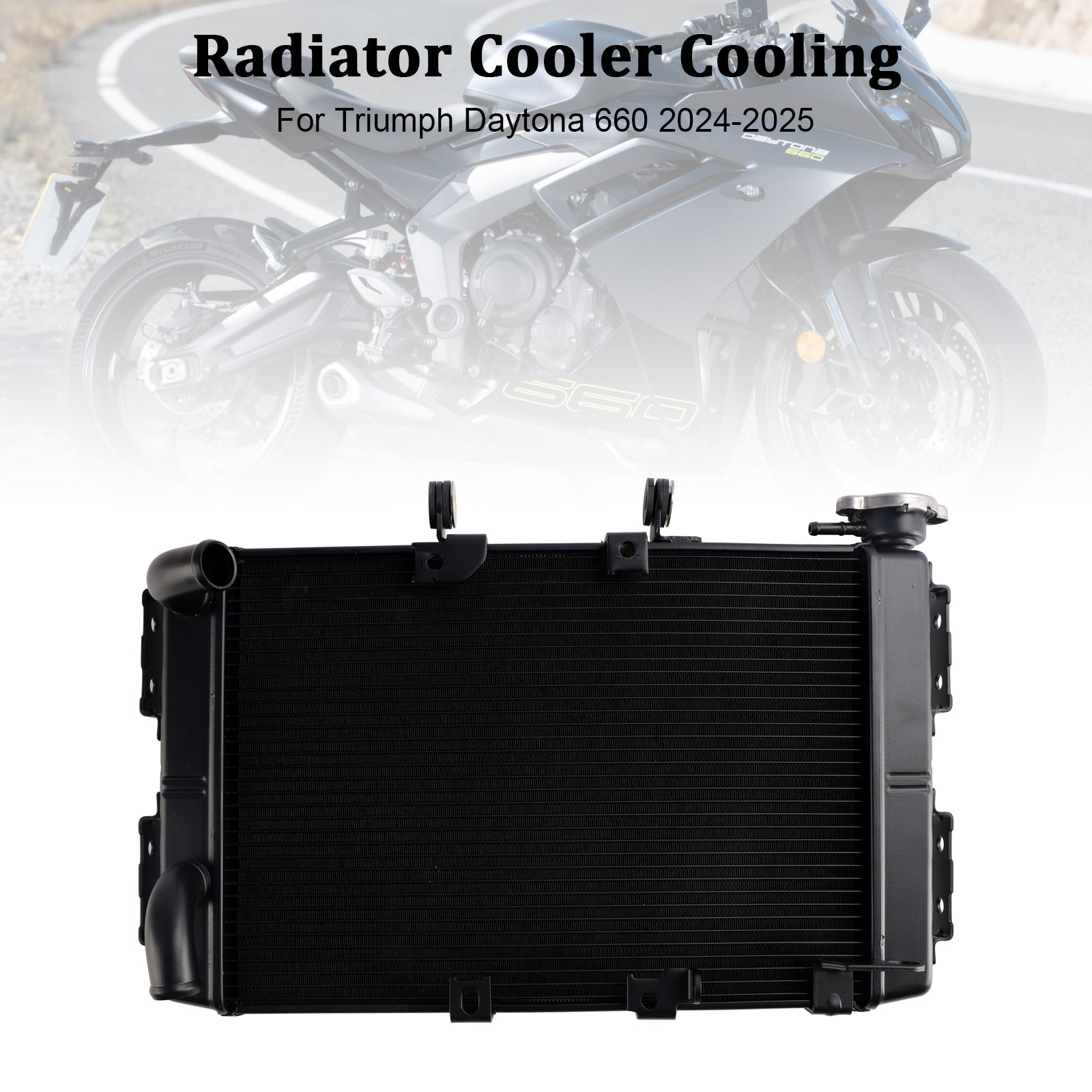 2024-2025 Daytona 660 Radiator Cooling Engine Cooler
