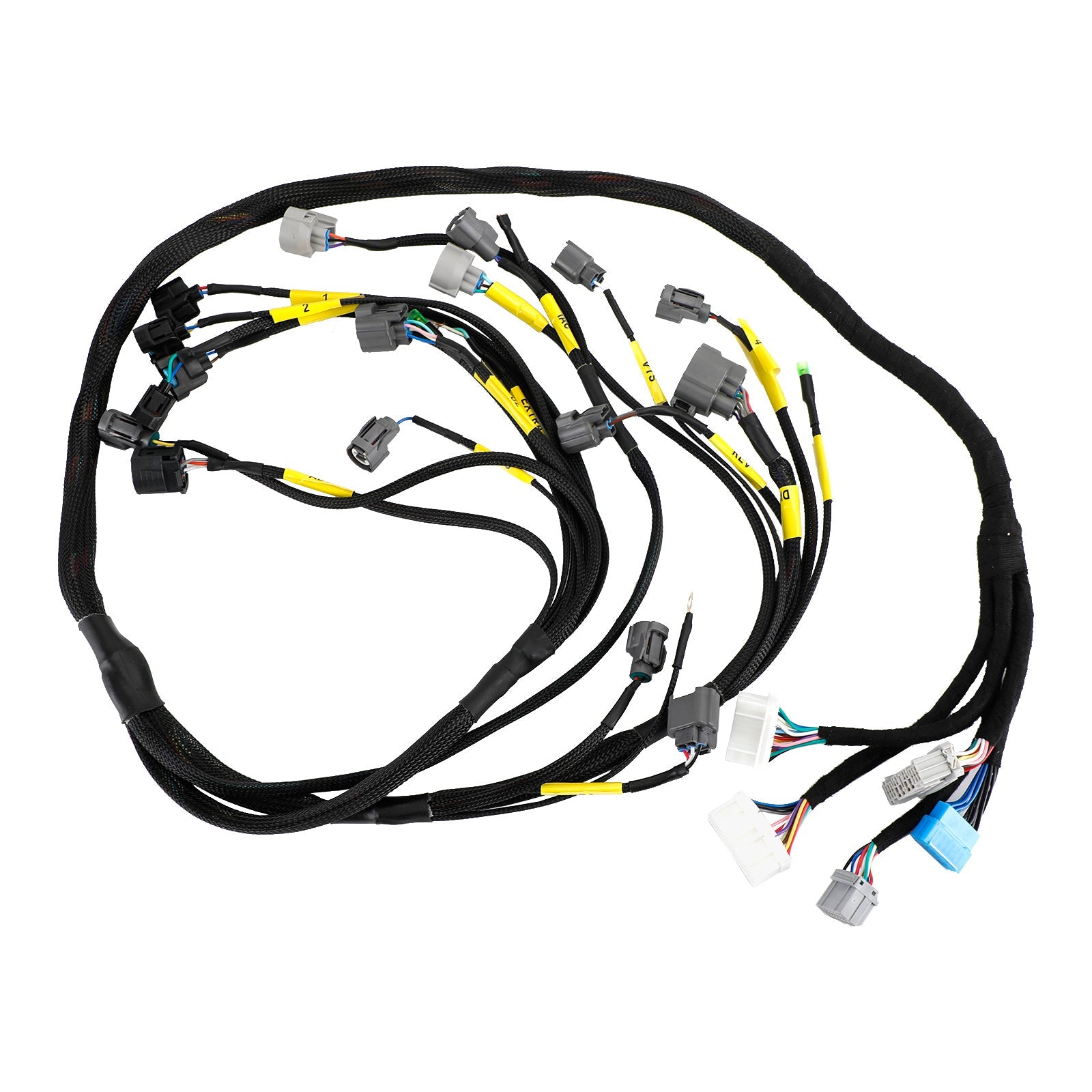 Engine Harness for Honda Civic Integra B16 B18 D16 OBD2 Budget D & B-series